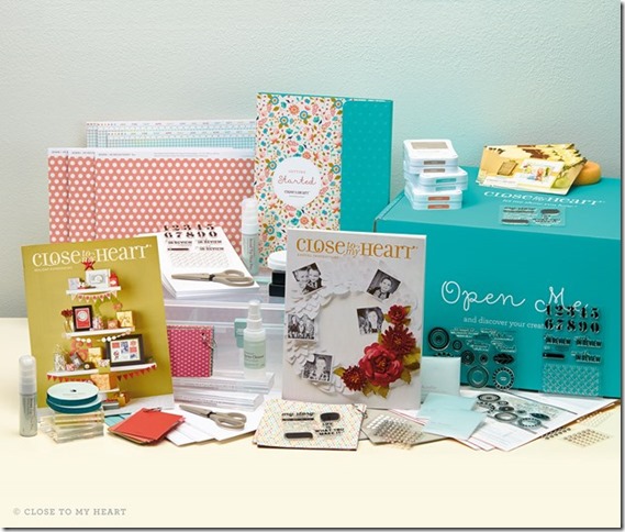 15-ai-new-consultant-kit-us_ca 15-ai-new-consultant-kit-us_ca