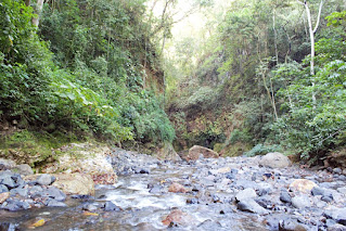 Tropical scenery with river and rock walls