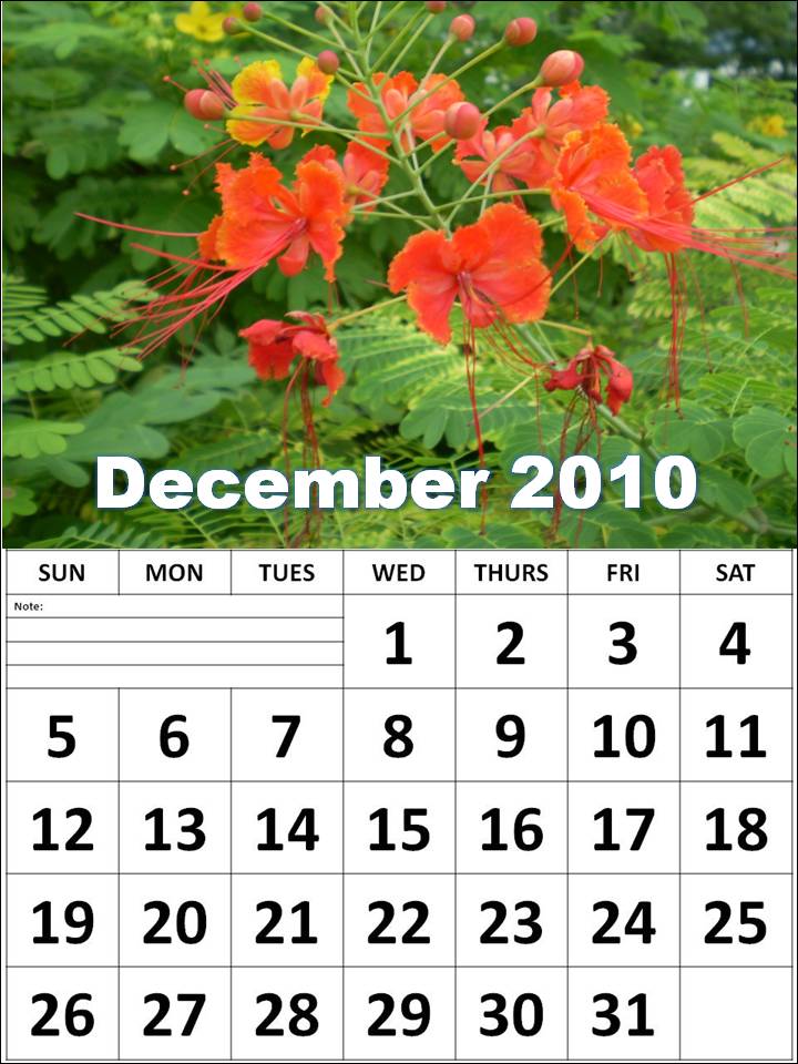 calendar template 2010. 2011 daily calendar template.