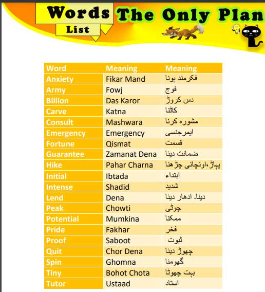 the only one plan - english words urdu meaning