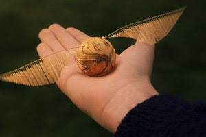 Fãs de 'Harry Potter' criam Quadribol real | Ordem da Fênix Brasileira