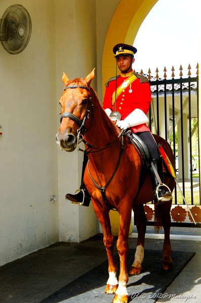 DSC05080