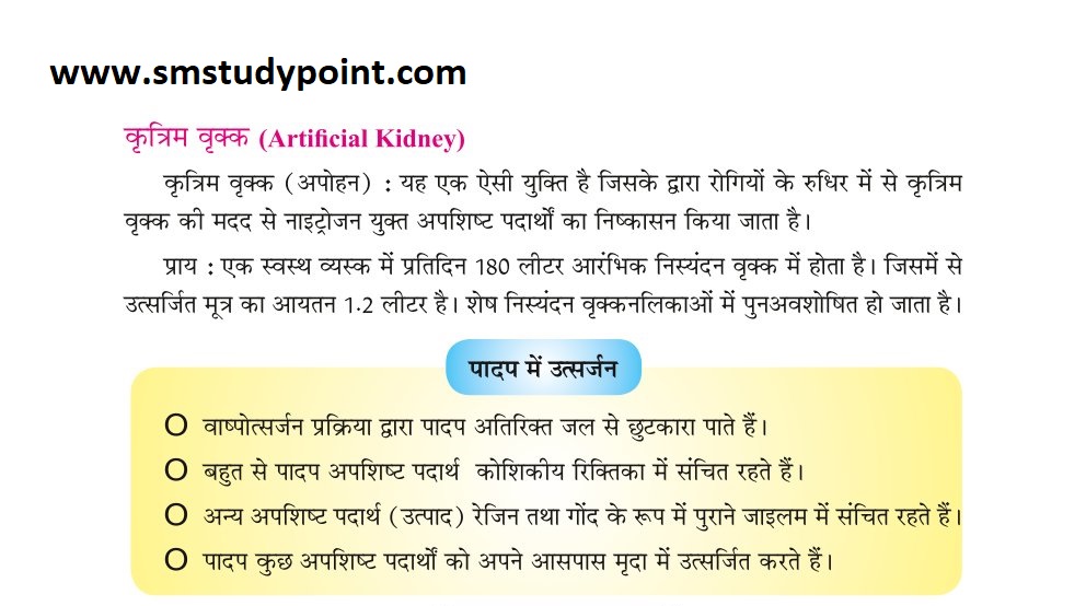 Bihar Board Class 10th Biology | Biological Process | Class 10 Biology Chapter 1 Rivision Notes PDF | जैव प्रक्रम | बिहार बोर्ड क्लास 10वीं जीवविज्ञान नोट्स | कक्षा 10 जीवविज्ञान हिंदी में नोट्स