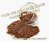 rooibos antioxydant