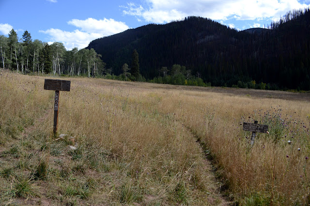 Grindstone and Bear Creek Trails splitting