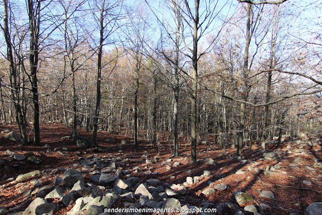 Turó i empedrat de Morou (Montseny)