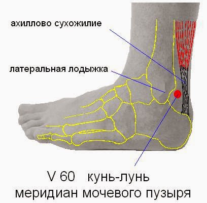 Щиколотки и лодыжки разница