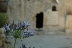 Tomb