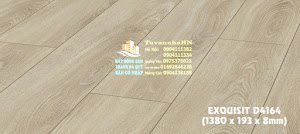 Exquisit D4164