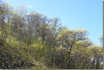 DSCN2719