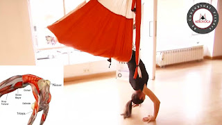 AEROPILATES, PILATES AEREO,  AEROYOGA, aerialyoga, yoga aereo, tutorial, ejercicios, beneficios, air yoga, fly, flying, pilates, yoga columpio, hamaca, trapeze, teacher training, cursos, clases, seminario, webinar