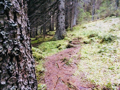 Vinter, höst, snö, snögubbe, väder, fjällflickan