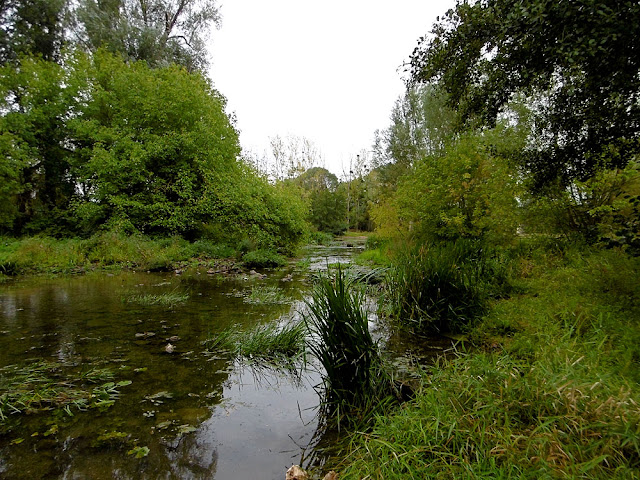 River Anglin, Concremiers, Indre, France. Photo by Loire Valley Time Travel.