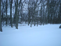  more snowy backyard