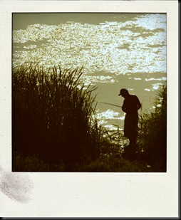flash-pola