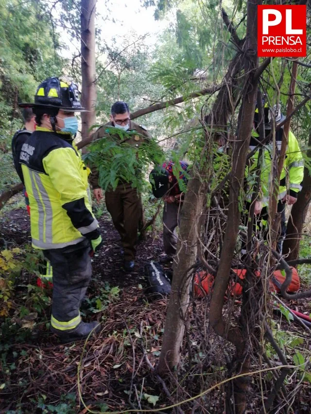 Osorno: hombre es rescatado del río Damas