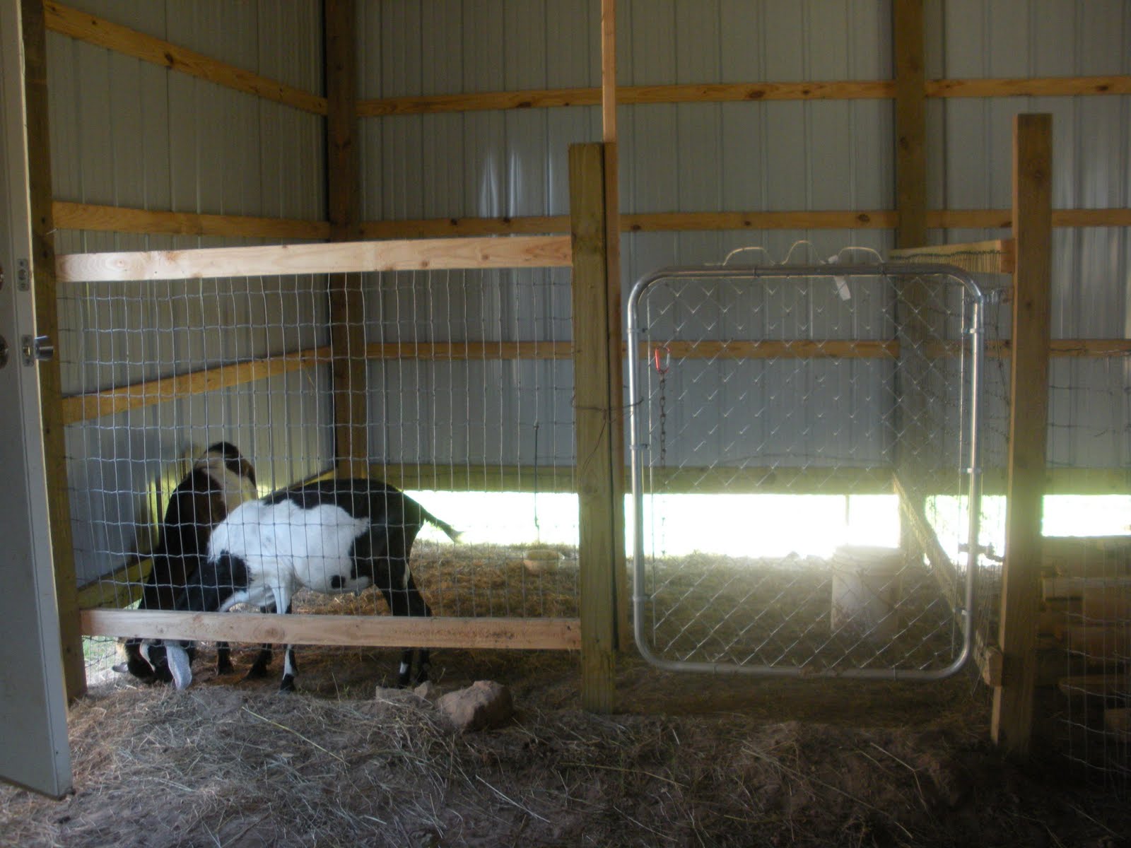 Working on the Goat Barn - Oak Hill Homestead