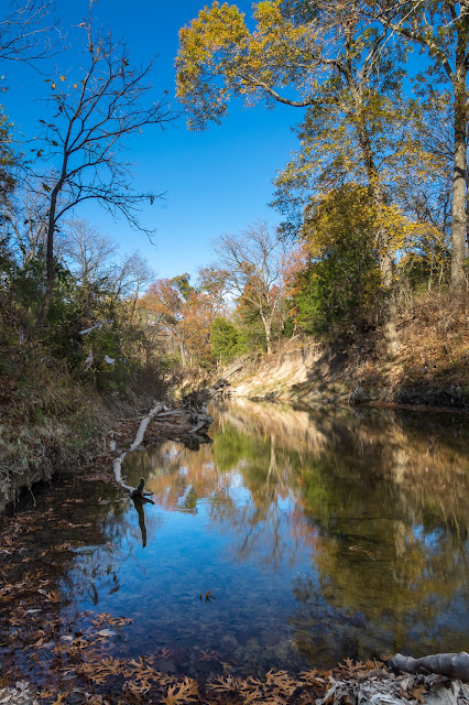 Spring Creek Forest Preserve