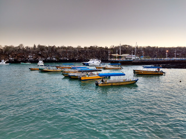 Puerto Ayora, Isla Santa Cruz, Islas Galápagos