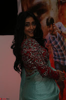 Regina Casandra in Lovely Beautiful saree Stunning Pics ~  Exclusive 26.JPG