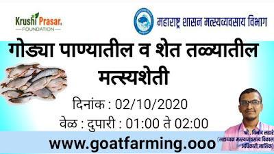 Online Training of Fish Farming