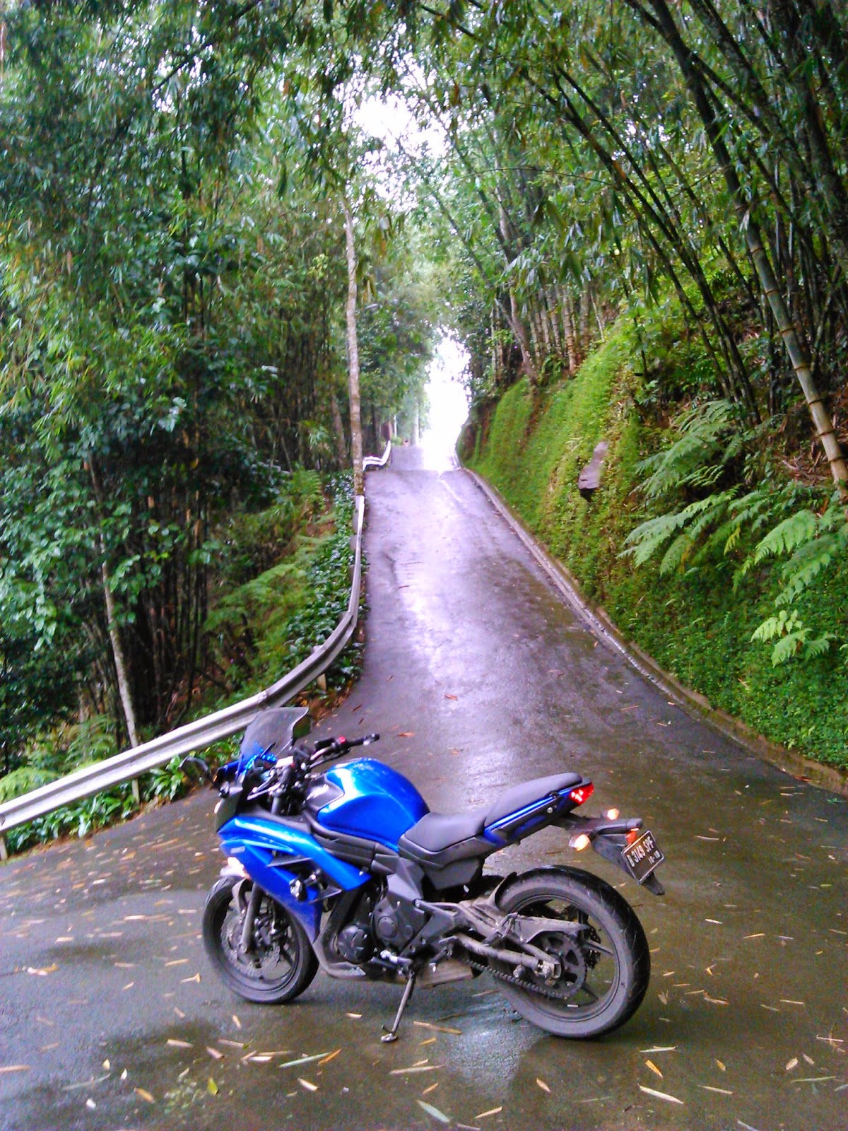 Andarupratomo Review ER6 11000 Km Bersama Ninja 650 Andarupratomo Review ER6 11000 Km Bersama Ninja 650