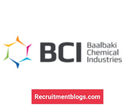 HSE Officer At BCI Egypt