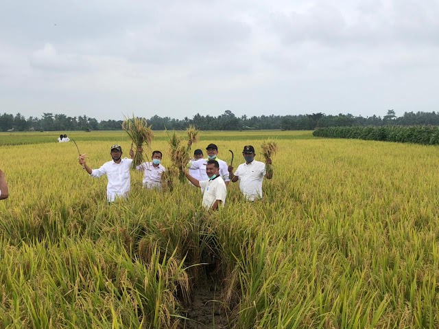 Januari, Nilai Tukar Petani Naik 0,01%