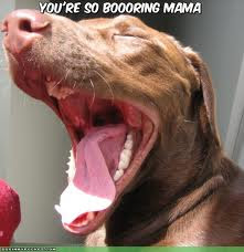 Funny Yawning Humor pictures best funny yawning photos