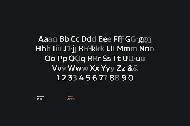 Aalto Sans Font Family