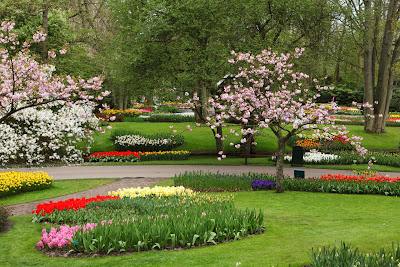 Beautiful Pathway Decorated by Natural Flowers. It feels like Paradise