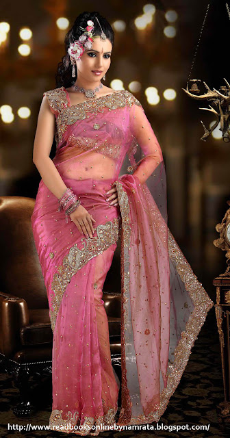 sarees designs 2012_8_readbooksonlinebynamrata