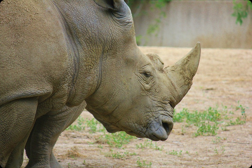 Zoo4 346 Zoo4 346