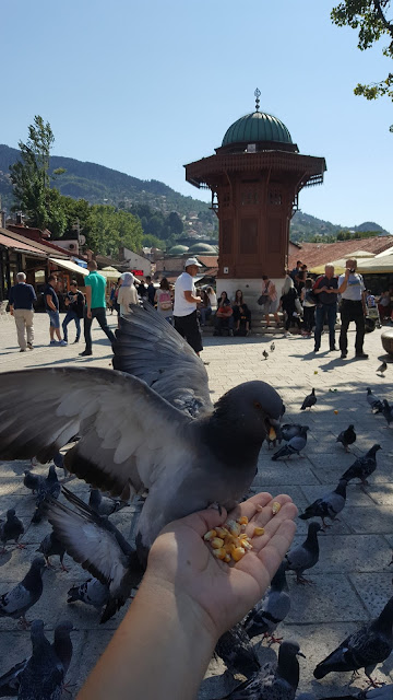 gezi, seyahat, nereye gitmeliü, vizesiz ülkeler, schengen vizesi, bosna hersek, sarajevo, saraybosna gülleri, müze, bakırcılar, mostar, tren, uçuş saatleri, butmir, savaş suçları, izetbegoviç, aliya, balkanlar, nasıl planlanır, araba kiralama, çocukla gezilecek yerler