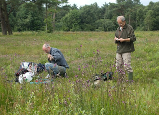 Foto cover Beschikbaarheid van gemeten grondwaterstanden uit het referentiemeetnet van Staatsbosbeheer