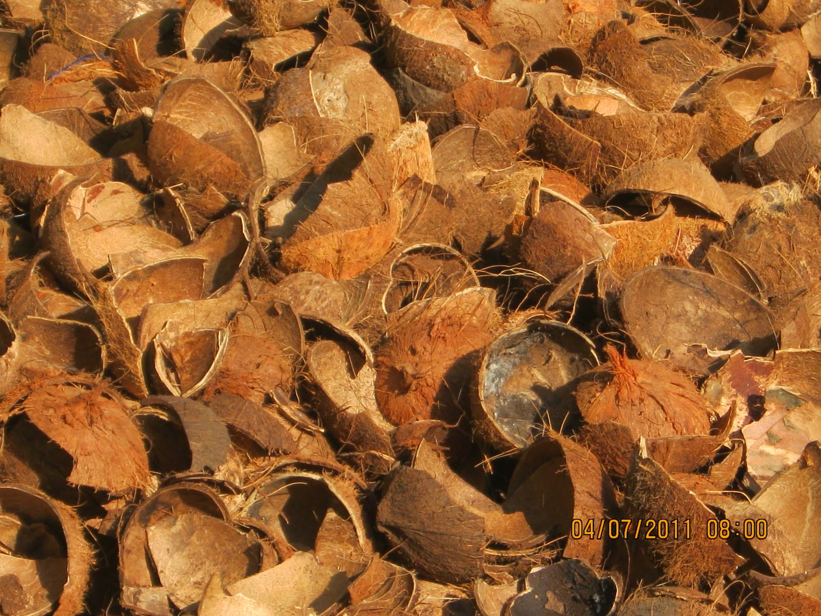 Mesin pembuat tepung Mengolah limbah batok kelapa 