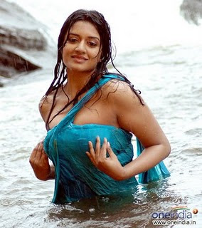 Sexy South Actress Vimala Raman Wet