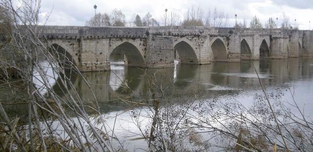 Puente viejo sobre el Pisuerga en Simancas. En primer término las yerbas y ramas de la orilla. Tonos grisesmuerenet