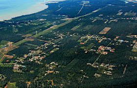 palm plantations malaysia aerial view