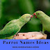 428 Best Parrot Names Collection >> Names Creator