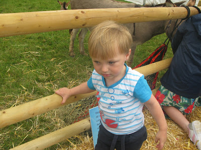 Toddler at farm