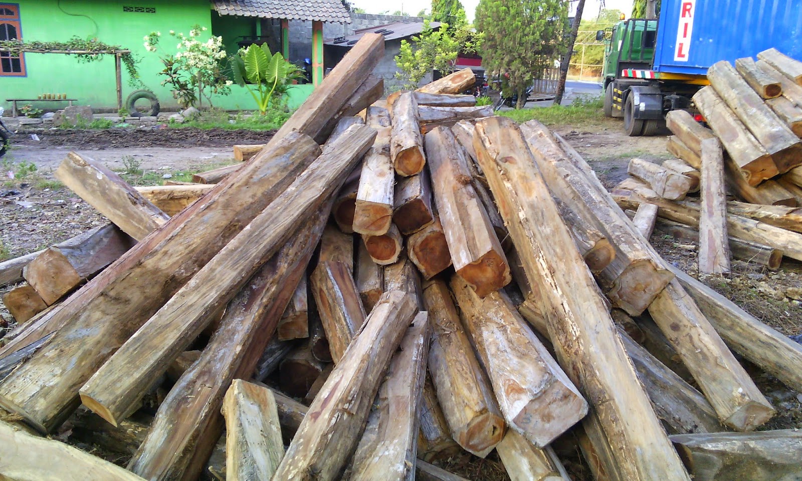  Kayu Jati Sulawesi JUAL KAYU JATI KUSEN PINTU JATI 