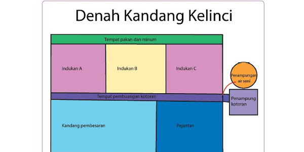 Materi dan Kunci Jawaban Tematik Kelas 5 Tema 1 Subtema 1 Halaman 32, 33, 34, 35, 36, 38, 39