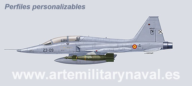 Northrop F-5B