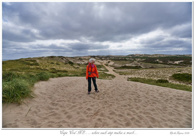 Cape Cod NS: ... where each step makes a mark...