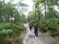 ボワ=ル=ロワからフォンテーヌブロー=アヴォン De Bois-le-Roi à Fontainebleau-Avon