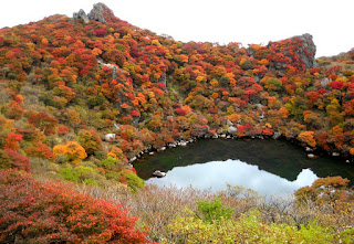 Image result for taiwan in autumn