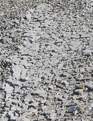 E-P1000435