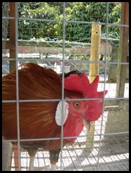 P1010286
