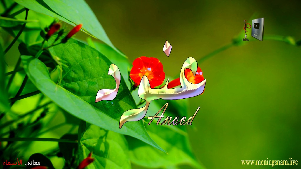 معنى اسم عنود, وصفات, حاملة, هذا الاسم, Anood,